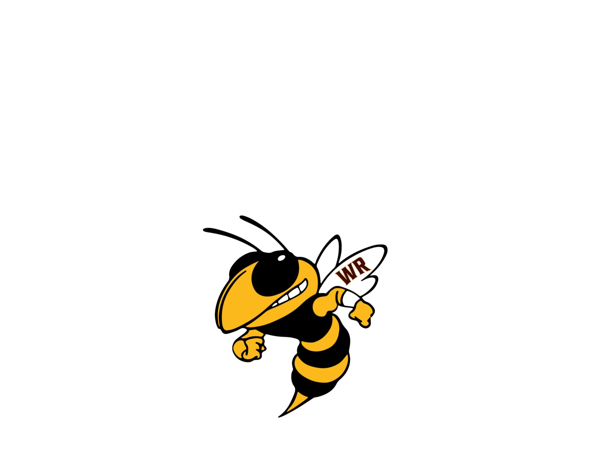 cheer-white-river-jr-hornets
